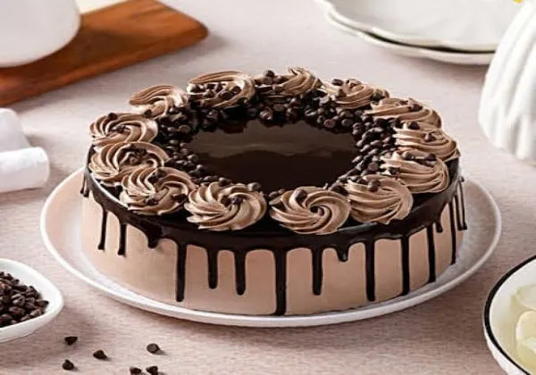 Chocolate Cake 