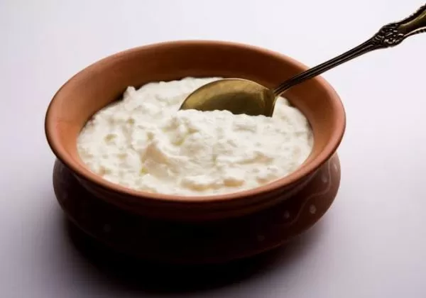 Dahi Plain