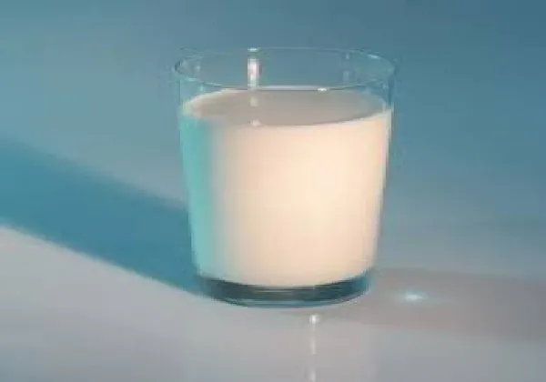 Plain Milk 