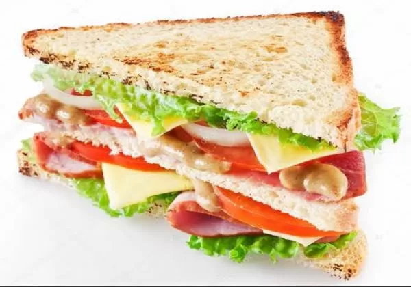 Veg Cheese Mayo Sandwich 